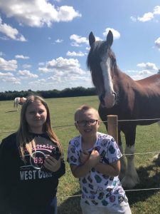children pose with horse on the farm