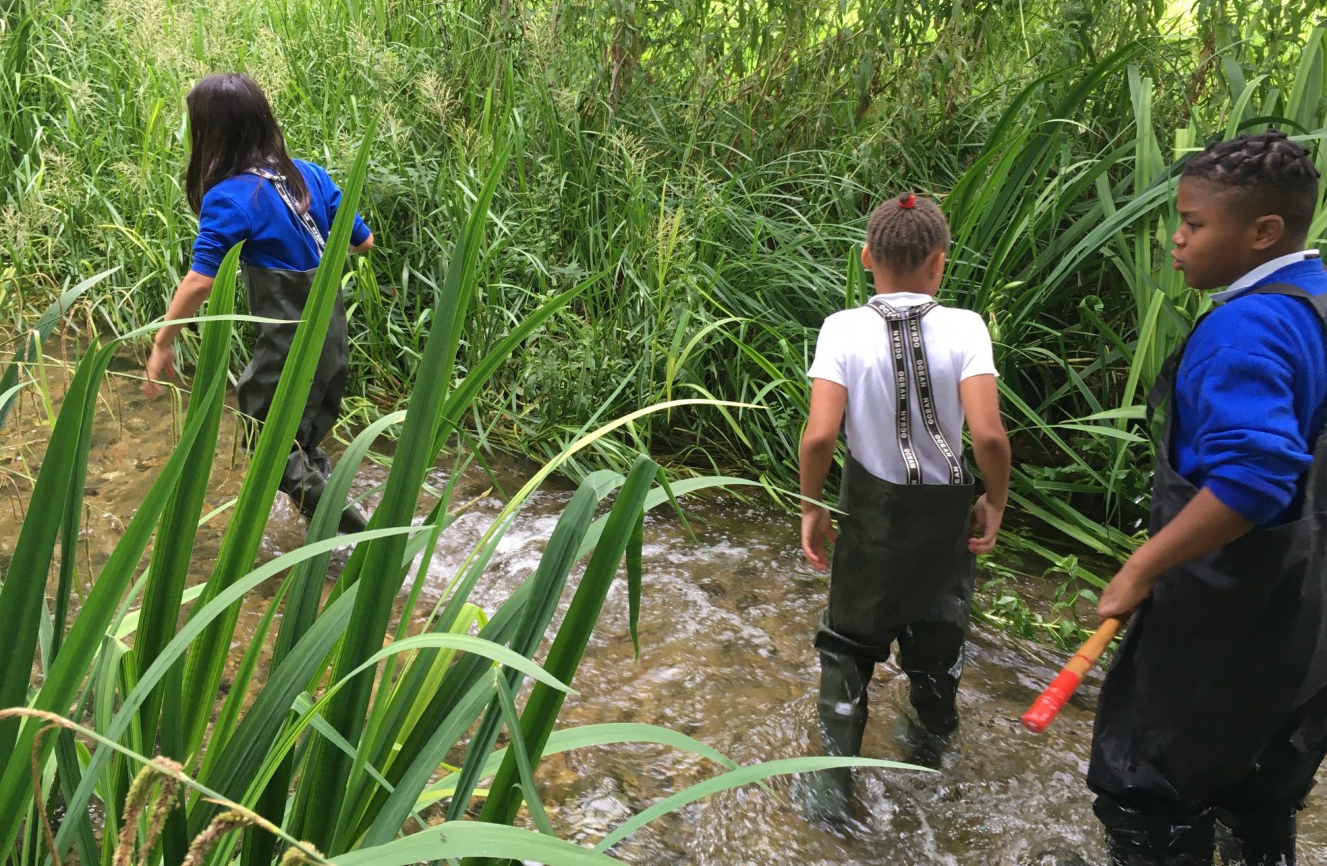 Chiltern Rangers engage around 1,000 volunteers to help the local ...