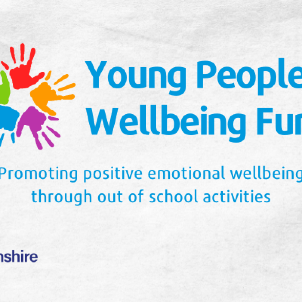 Young People's Wellbeing Fund
