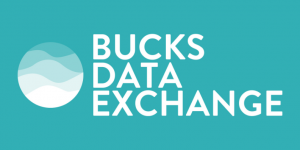 bde-web-banner